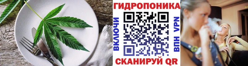 где купить наркоту  Новопавловск  Еда ТГК марихуана 