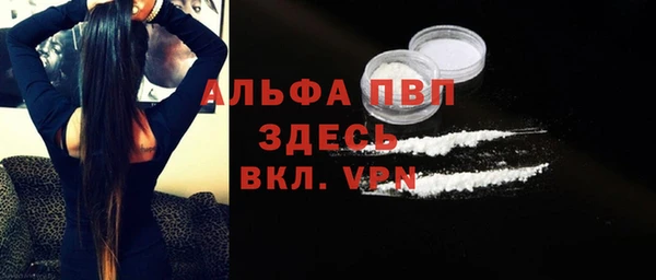 крисы Баксан