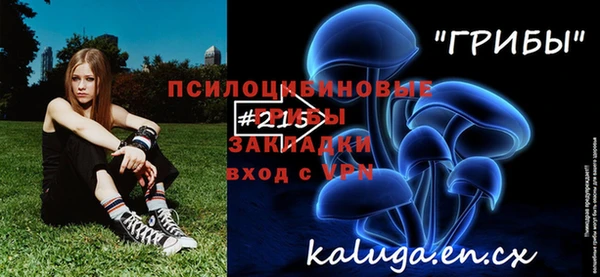 крисы Баксан