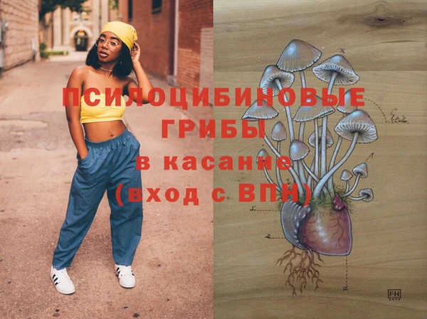 ПСИЛОЦИБИНОВЫЕ ГРИБЫ Балахна