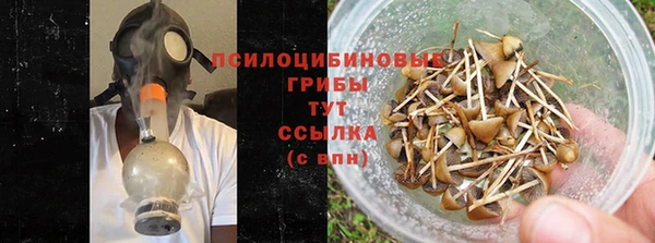 ПСИЛОЦИБИНОВЫЕ ГРИБЫ Балахна