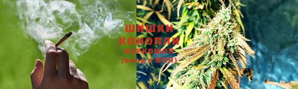 ПСИЛОЦИБИНОВЫЕ ГРИБЫ Балахна