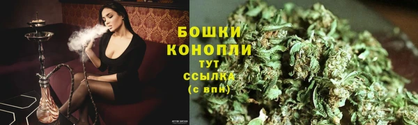 ПСИЛОЦИБИНОВЫЕ ГРИБЫ Балахна